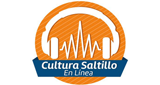 CulturaSaltillo en Línea 
